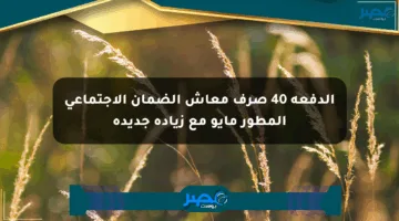 الدفعة 40 صرف معاش الضمان الاجتماعي المطور مايو مع زيادة جديدة
